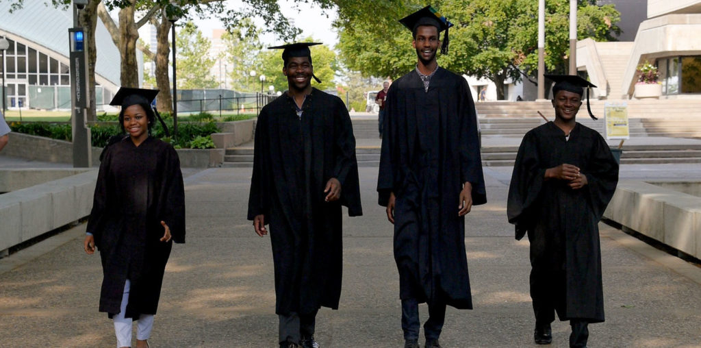 Brief Tender Light image