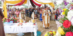 Bulls and Saints Image