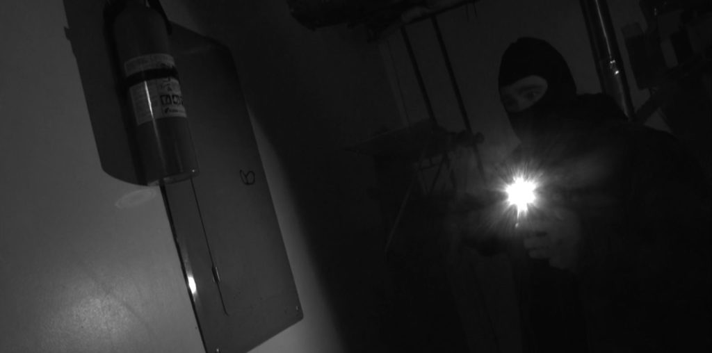Lone Shadow image