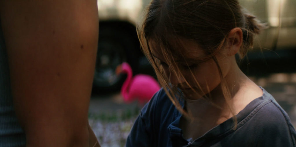 Pink Flamingos Everywhere image