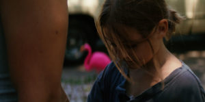 Pink Flamingos Everywhere Image