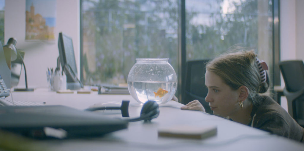 Walking Fernando image