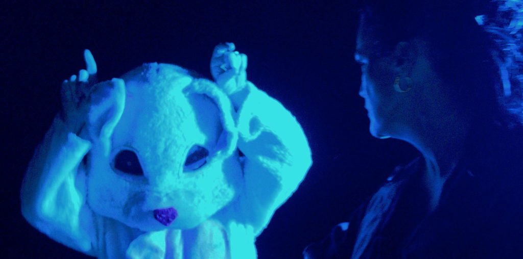 Serial Rabbit 7: Critical Rabbit Theory image