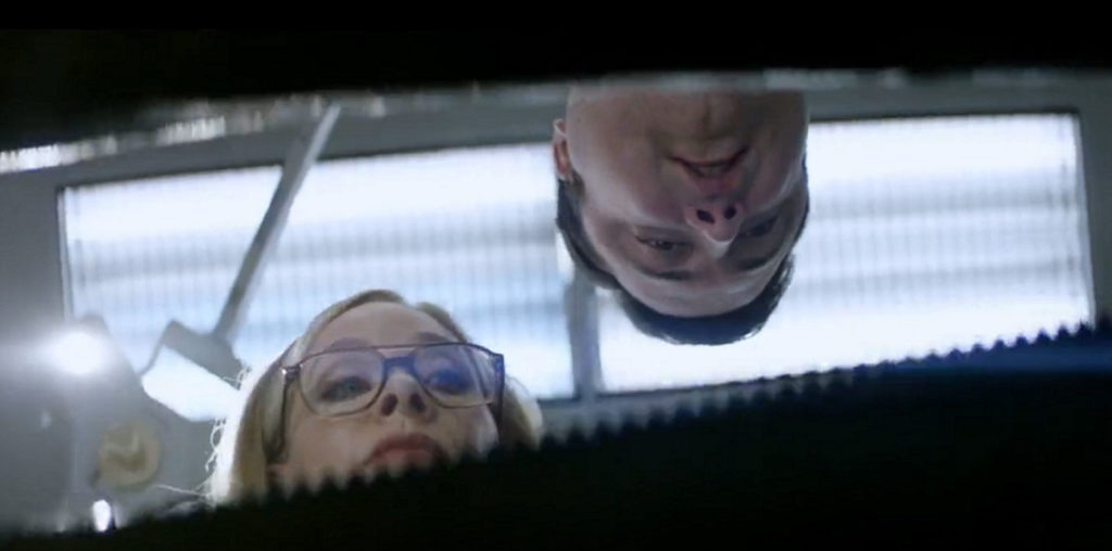 Suitable Flesh image