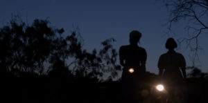 The Dark Sisters Image