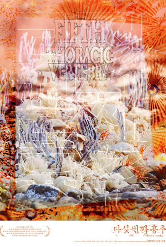 The Fifth Thoracic Vertebra Image