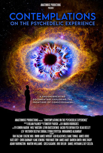Contemplations: On The Psychedelic Experience Image
