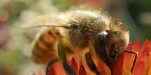 Into The Weeds Image