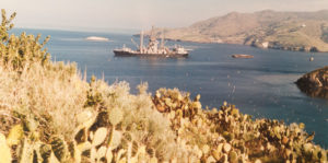 Neither Confirm Nor Deny Image