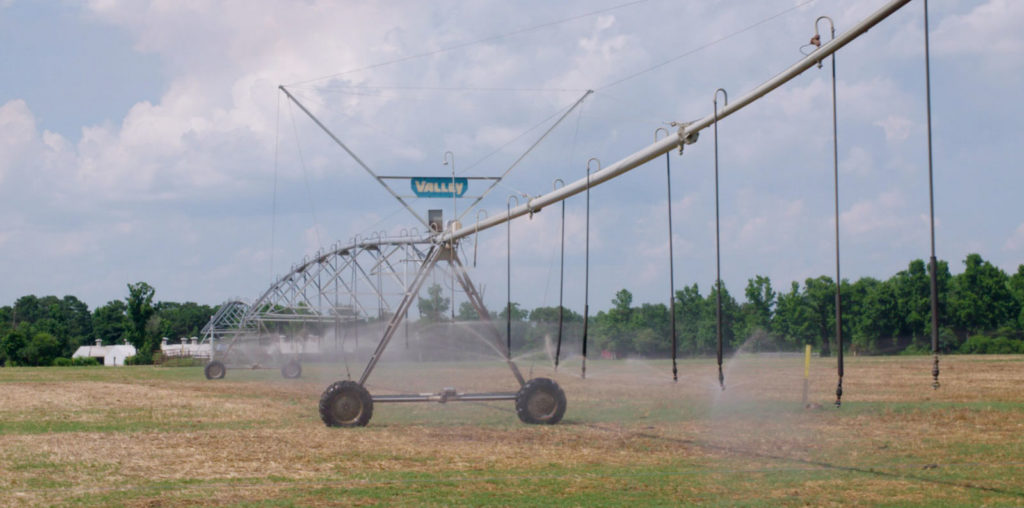 The Smell of Money image