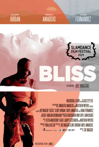 Bliss Image