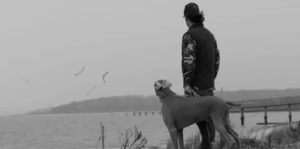 Dog Spelled Backwards Image