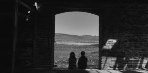 Perennial Light Image