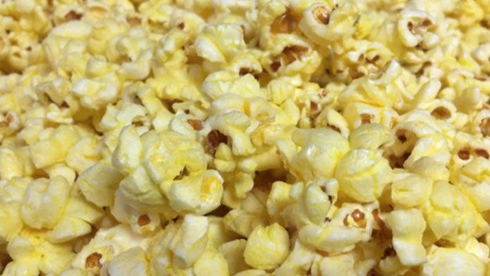 Essential Exhibition Image