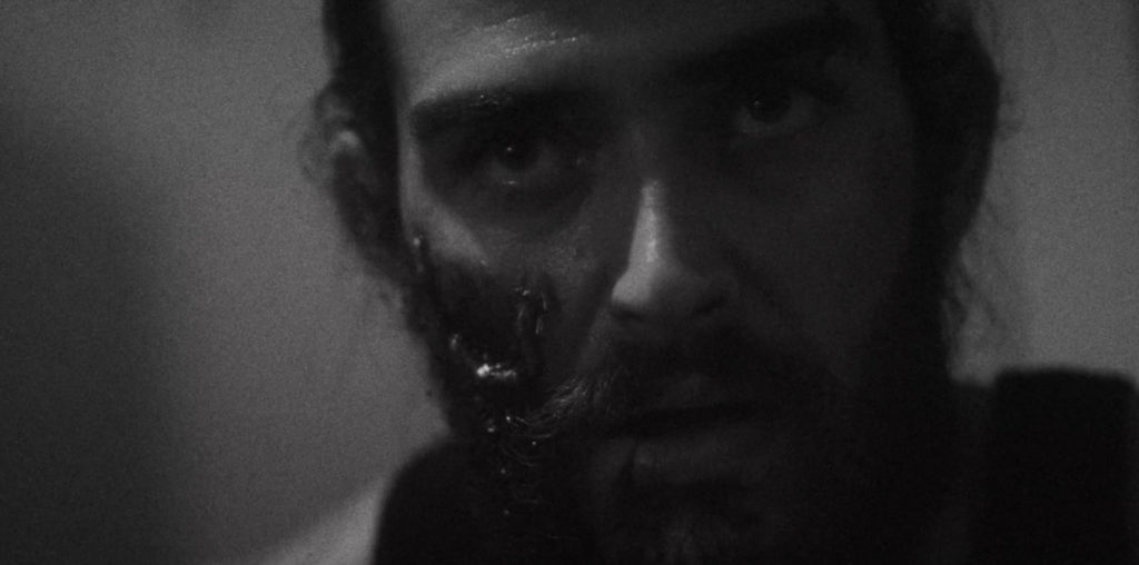 The Ballad of a Coyote image