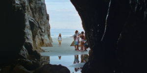 Seagrass Image