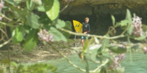 Surfer: Teen Confronts Fear Image