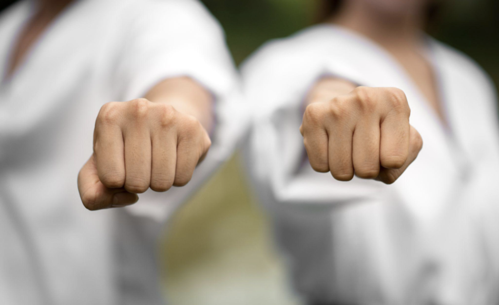 Sports Fights Movies and games for Real Fans to Try at Least Once image