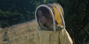 20,000 Species of Bees Image
