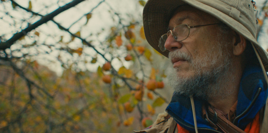 A Two Hearted Tale image