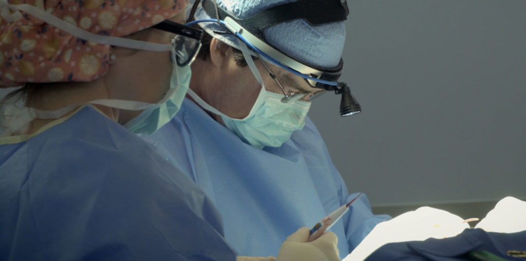 Beautiful Faces image