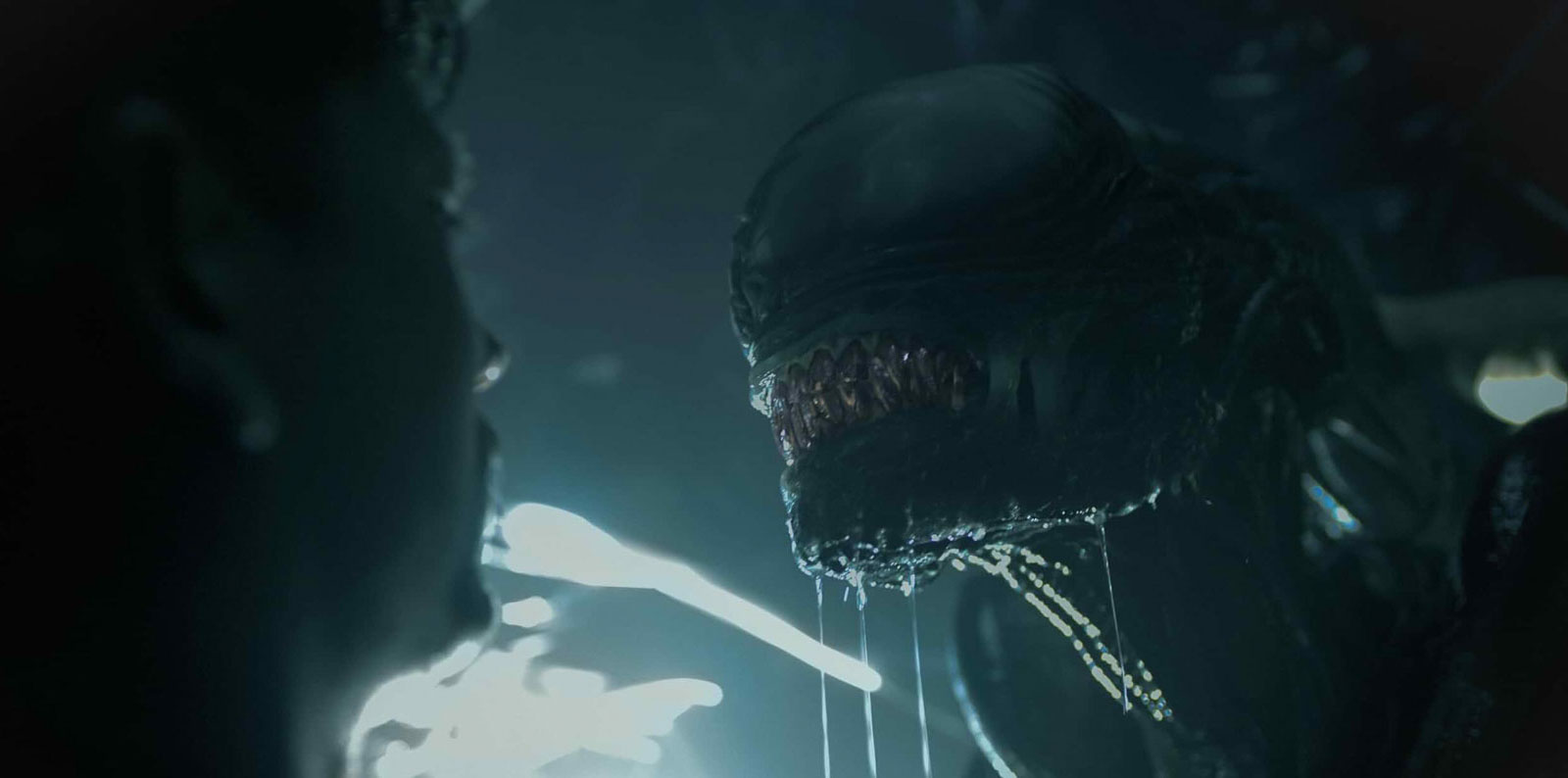 Alien: Romulus Featured, Reviews Film Threat