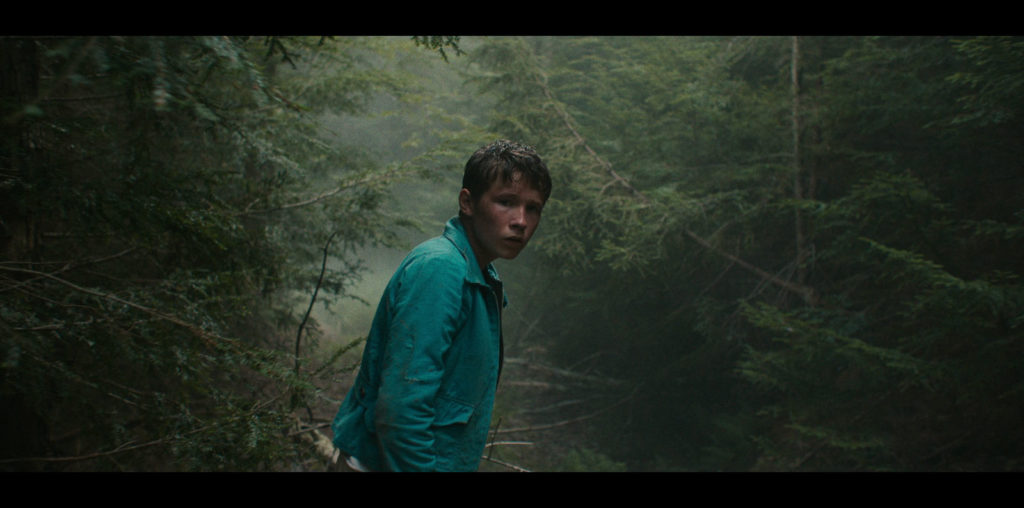 Lost on a Mountain in Maine image