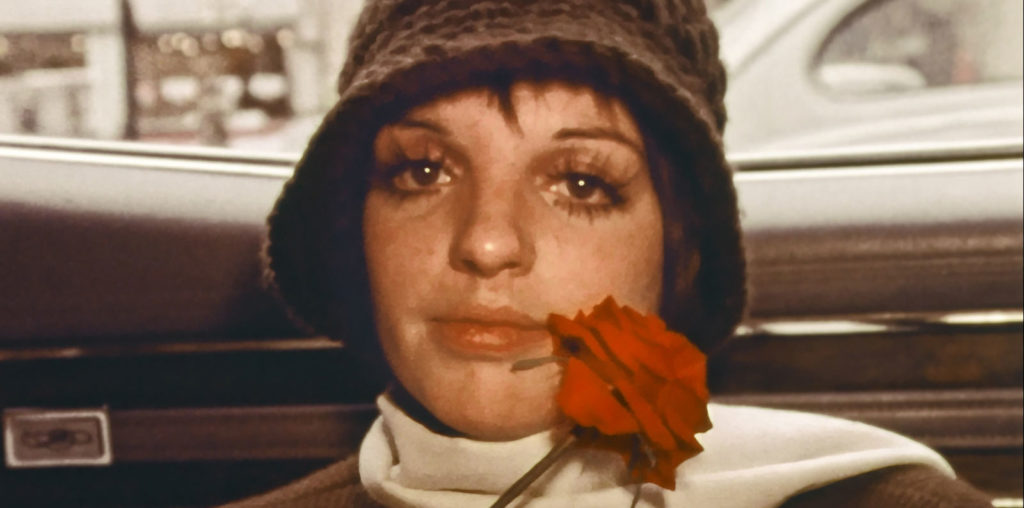 Liza: A Truly Terrific Absolutely True Story image