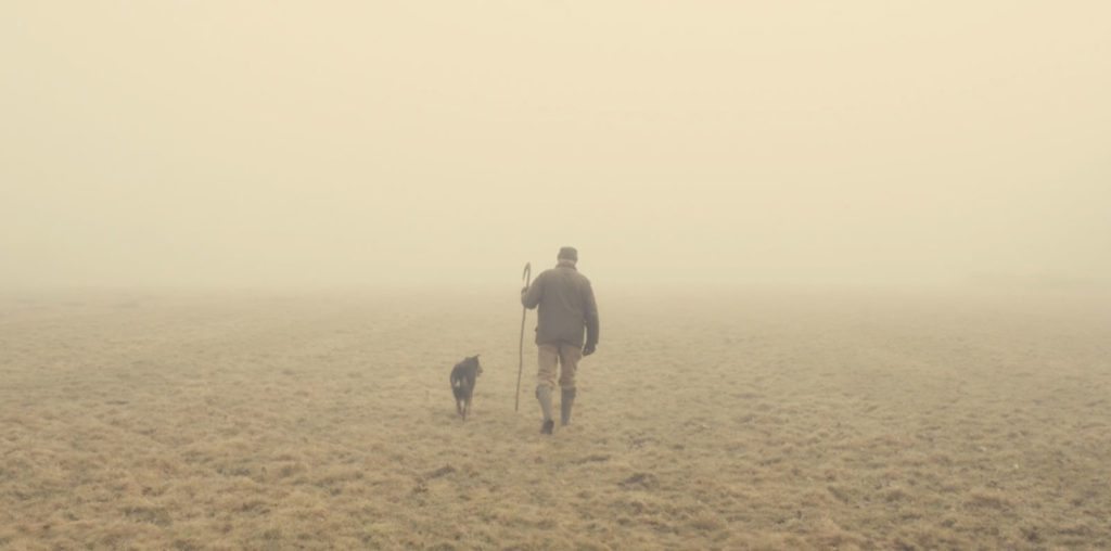 The Old Man and the Land image