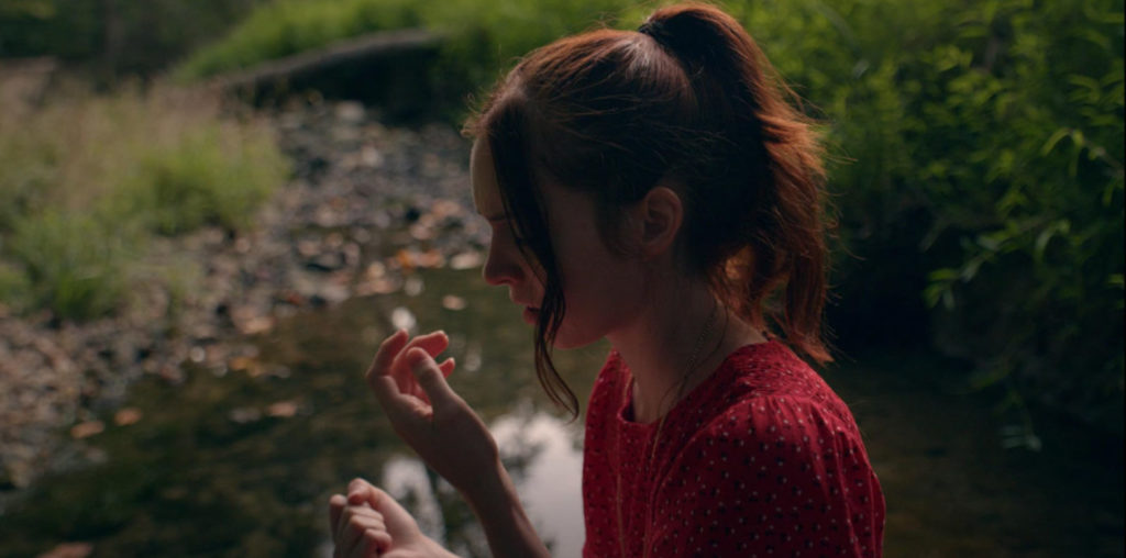 The Human Supremacist image