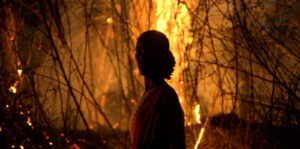 The Umesh Chronicles Image