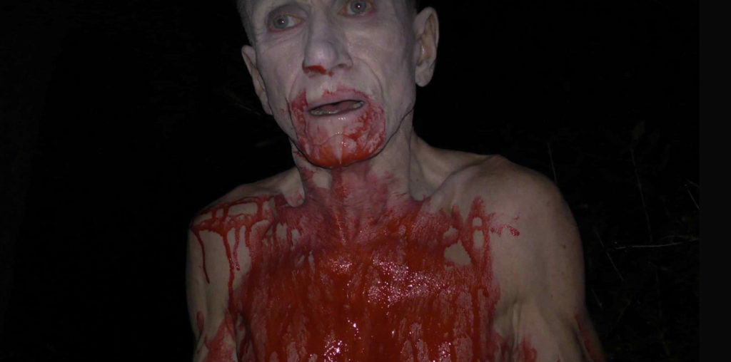 A Stranger in the Woods image