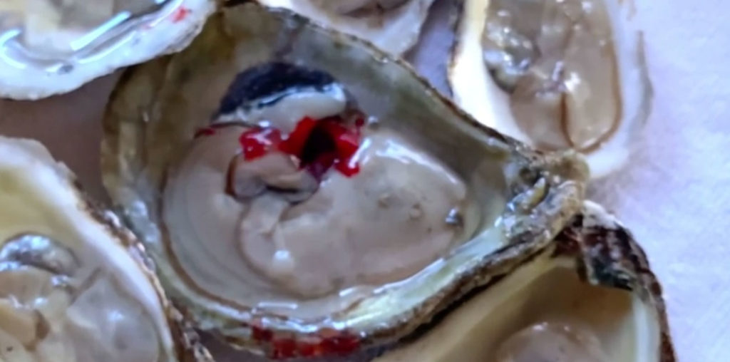 The Mollusk Murders image