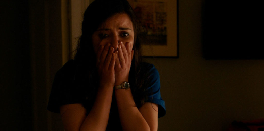 The Ruse image