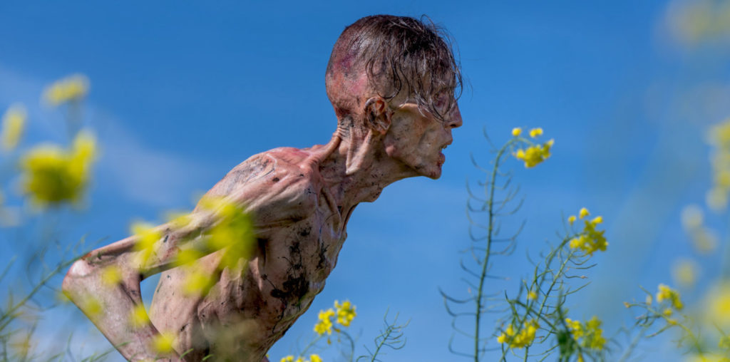 28 Years Later image