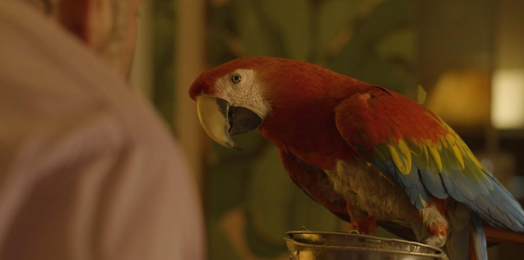 Déjà Vu: The Conundrum of Cassie image