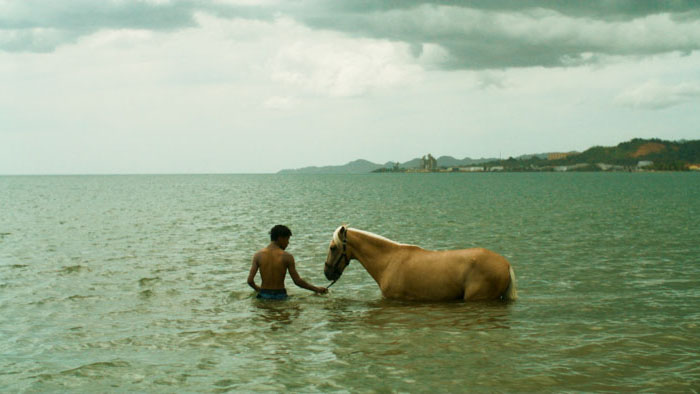 Boy and horse wade into the sea in a powerful scene from The Island (Esta Isla)