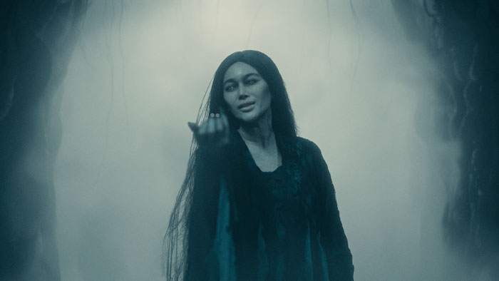 Mysterious woman in dark robes beckons through mist in Soul Reaper.