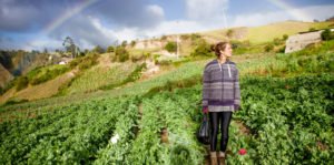 The Road to Patagonia Image