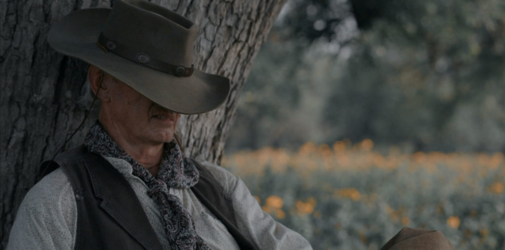 Elderly cowboy resting under a tree in Bandera, Texas