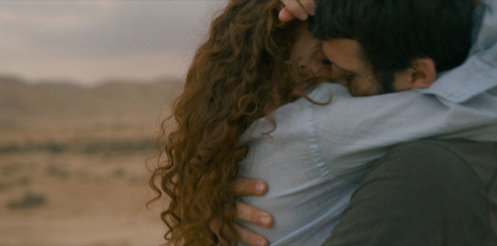 Elephant in the Desert image