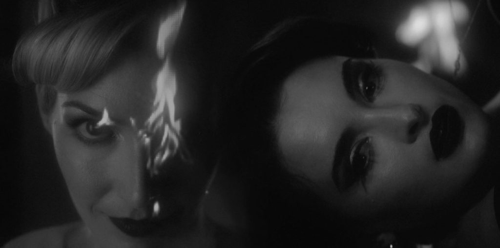 All Us Animals image