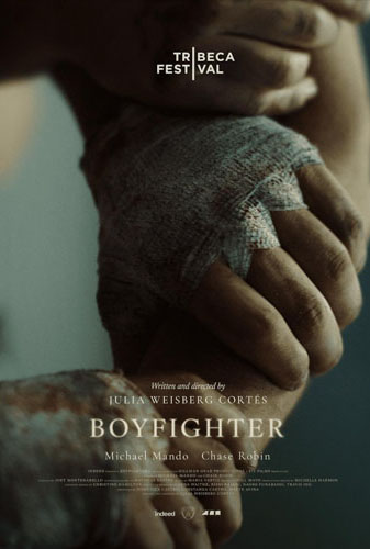 Boyfighter Image