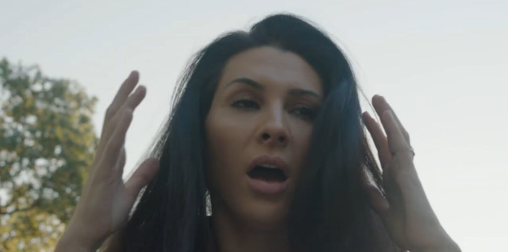 Feline Abduction image