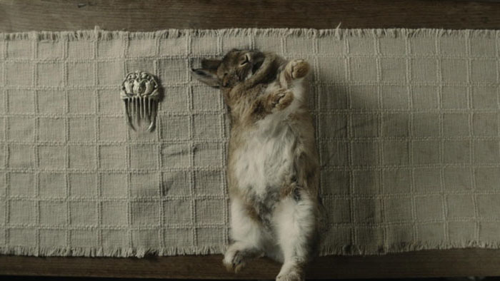 A magical pearl comb next to a rabbit on a table in The Pearl Comb.