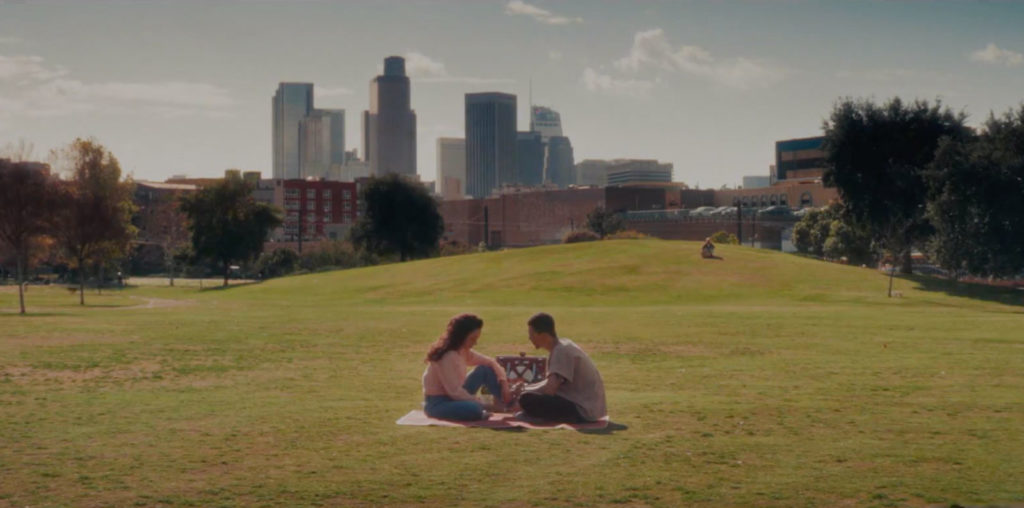 The Picnic image
