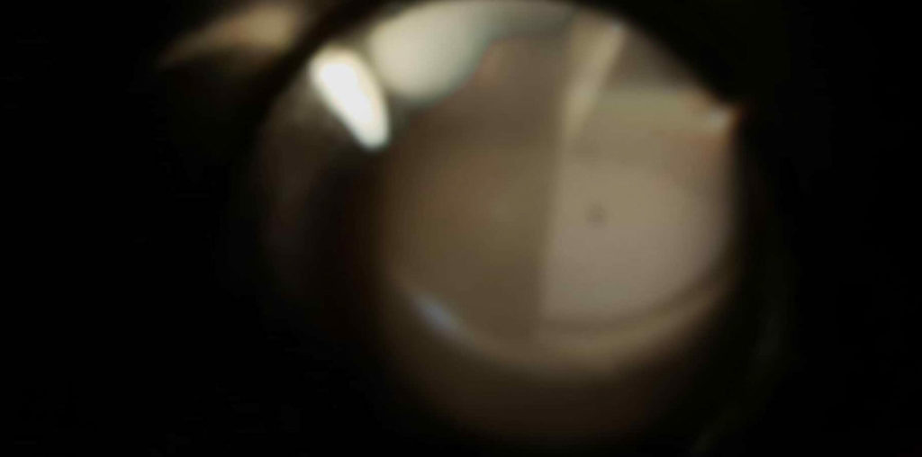 Who Calls (Quién llama) image