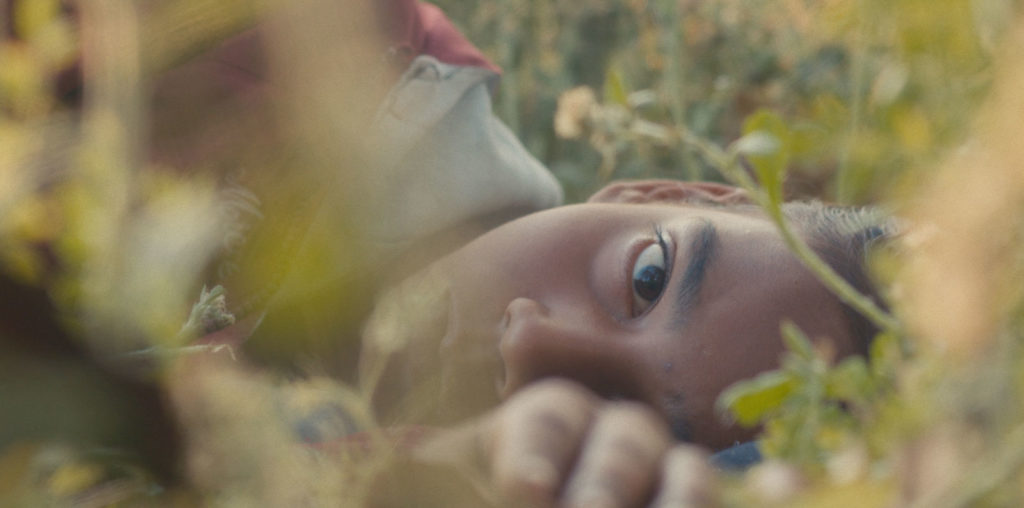 Humans in the Loop image