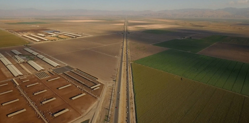 Pistachio Wars image