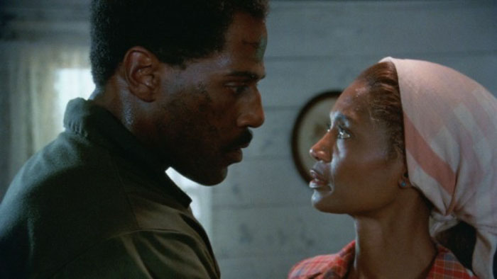 Steve James and Margaret Avery in a tense moment from Riverbend – 4K Restoration